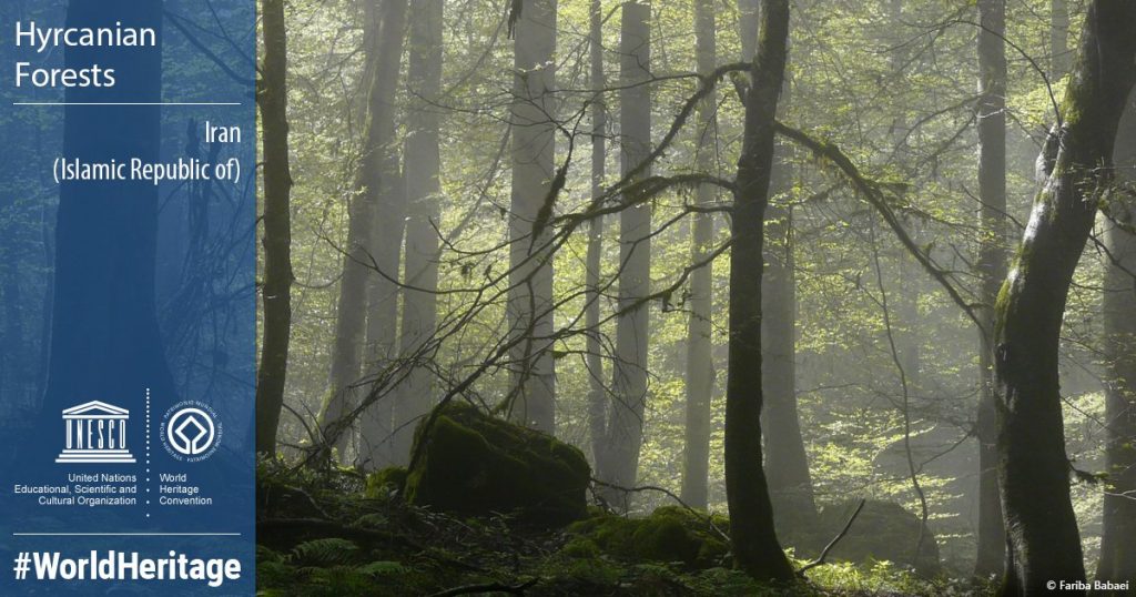 ثبت جهانی جنگل های هیرکانی