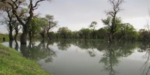 باغستان سنتی قزوین