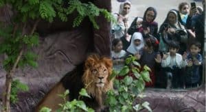 باغ ارم وحش
